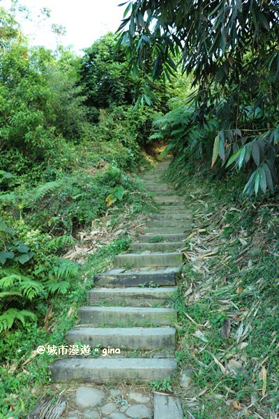 IMG_5674.JPG IMG_5674.JPG