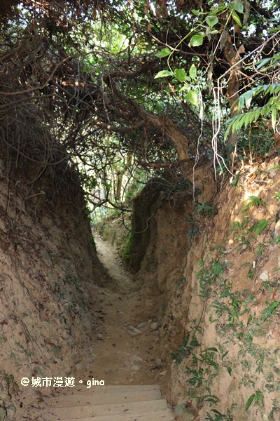 IMG_5679.JPG IMG_5679.JPG