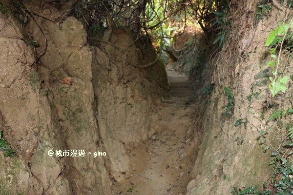 IMG_5680.JPG IMG_5680.JPG