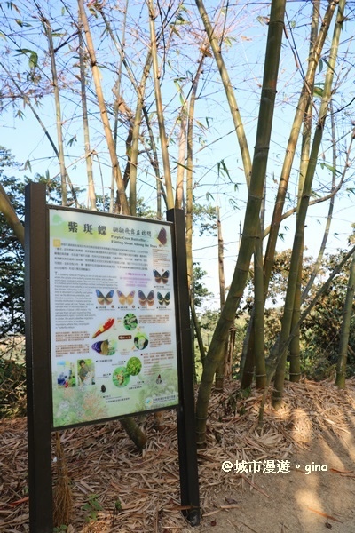 IMG_5690.JPG IMG_5690.JPG