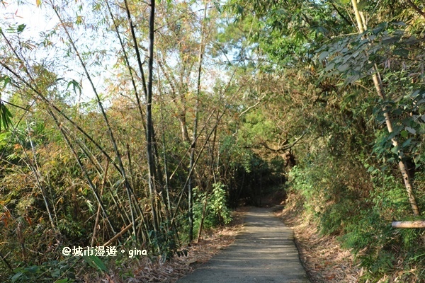 IMG_5693.JPG IMG_5693.JPG