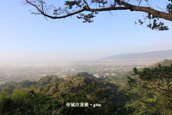 IMG_5699.JPG IMG_5699.JPG