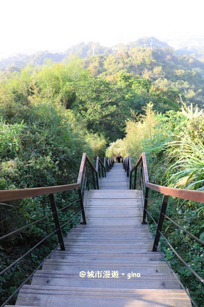 IMG_5710.JPG IMG_5710.JPG