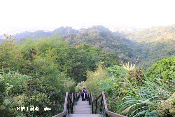 IMG_5730.JPG IMG_5730.JPG