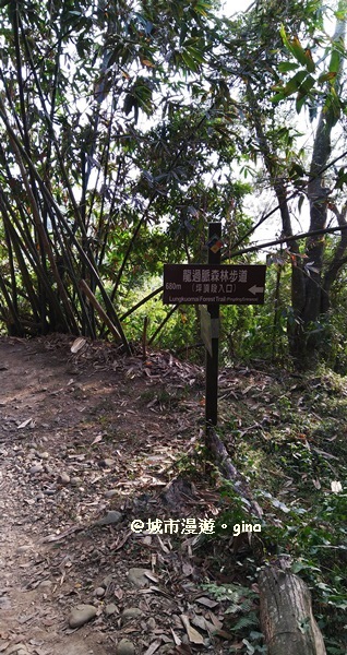 IMG_20171220_155509.jpg IMG_20171220_155509.jpg