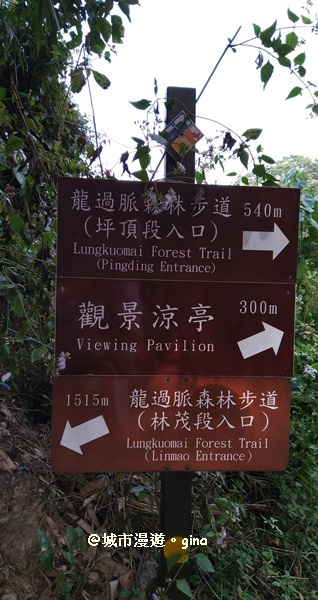 IMG_20171220_155742.jpg IMG_20171220_155742.jpg