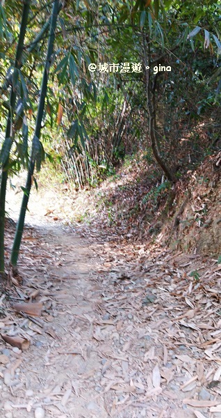 IMG_20171220_155745.jpg IMG_20171220_155745.jpg