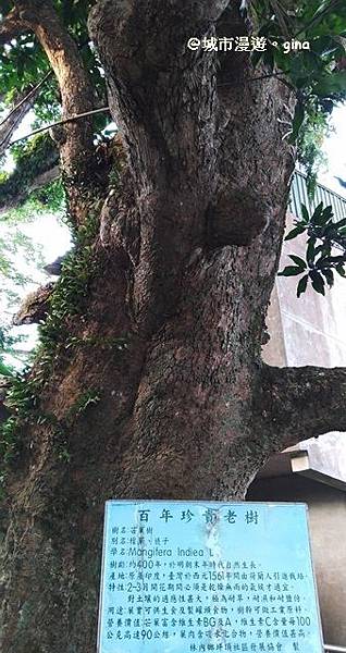 IMG_20171220_162511.jpg IMG_20171220_162511.jpg