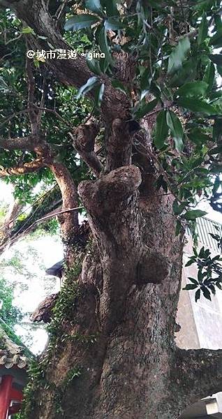 IMG_20171220_162514.jpg IMG_20171220_162514.jpg