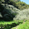 IMG_6020.JPG
