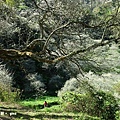 IMG_6023.JPG