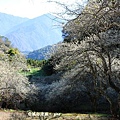 IMG_6025.JPG