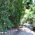 IMG_6034.JPG