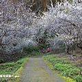 IMG_6038.JPG