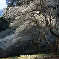 IMG_6048.JPG