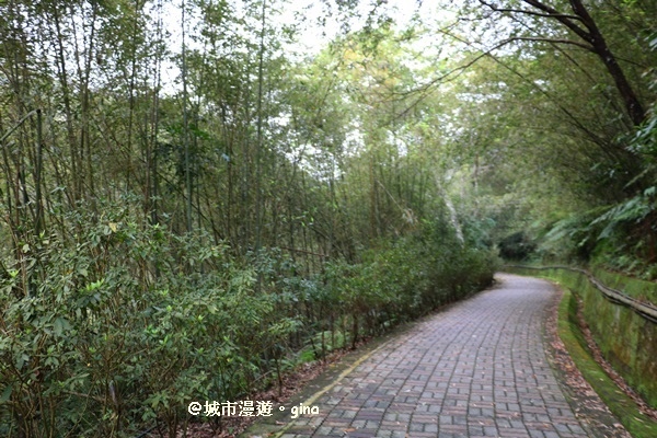 IMG_6661.JPG IMG_6661.JPG