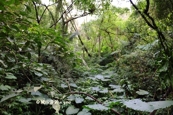 IMG_6667.JPG IMG_6667.JPG