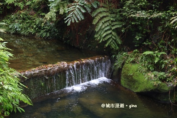 IMG_6671.JPG IMG_6671.JPG