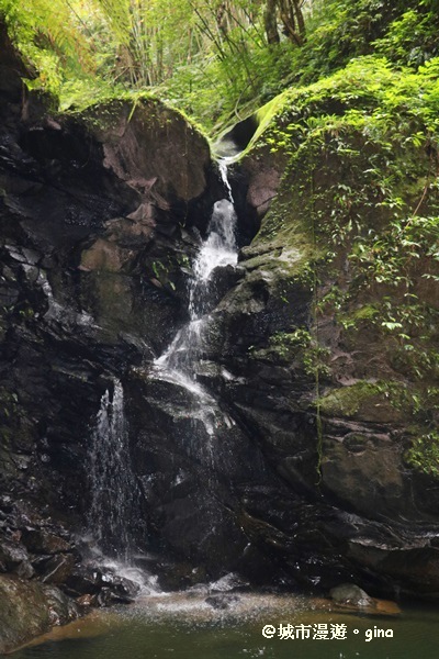 IMG_6703.JPG IMG_6703.JPG