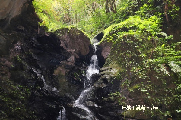 IMG_6710.JPG IMG_6710.JPG