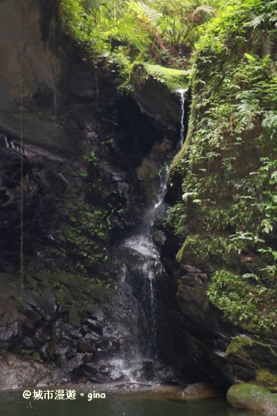 IMG_6738.JPG IMG_6738.JPG