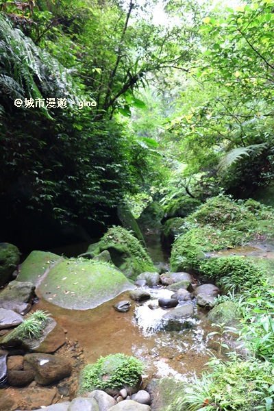 IMG_6765.JPG IMG_6765.JPG