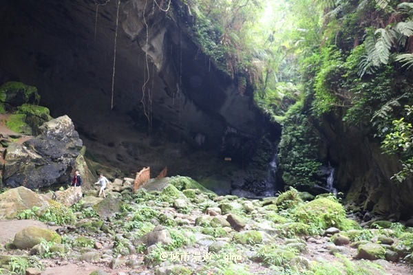 IMG_6768.JPG IMG_6768.JPG