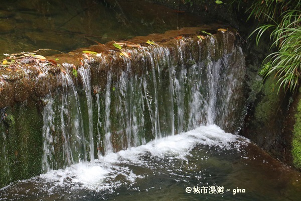 IMG_6771.JPG IMG_6771.JPG