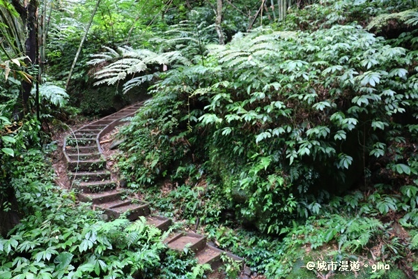 【桃園復興】漫步森林浴。 觀音洞步道