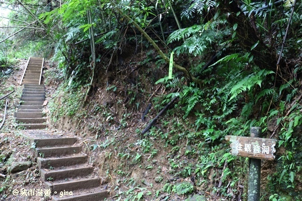 【桃園復興】漫步森林浴。 觀音洞步道