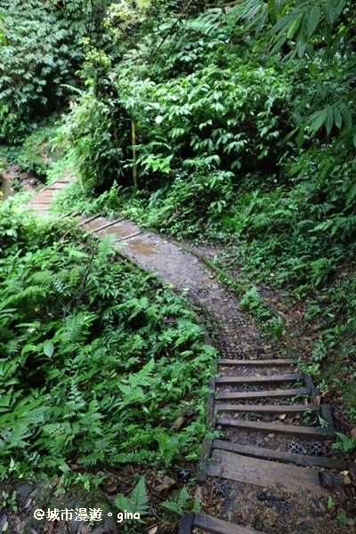 【桃園復興】漫步森林浴。 觀音洞步道