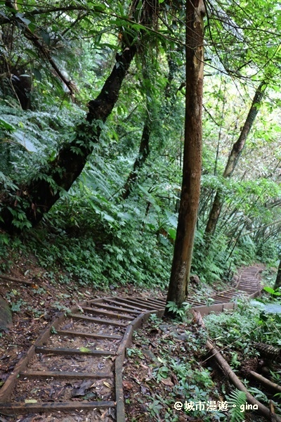 【桃園復興】漫步森林浴。 觀音洞步道