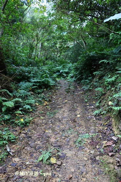 IMG_6795.JPG