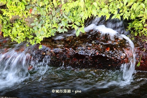 IMG_7322.JPG IMG_7322.JPG