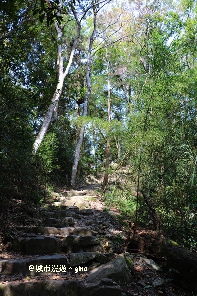 IMG_7339.JPG IMG_7339.JPG