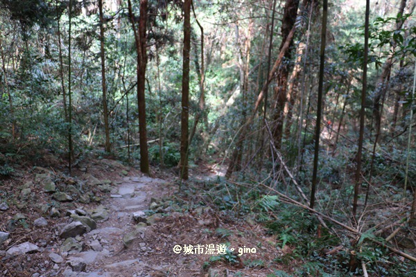 IMG_7403.JPG IMG_7403.JPG