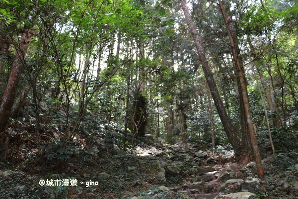 IMG_7415.JPG IMG_7415.JPG