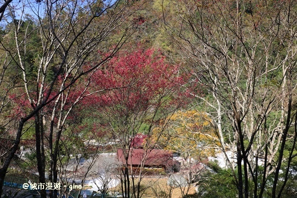 IMG_7469.JPG IMG_7469.JPG