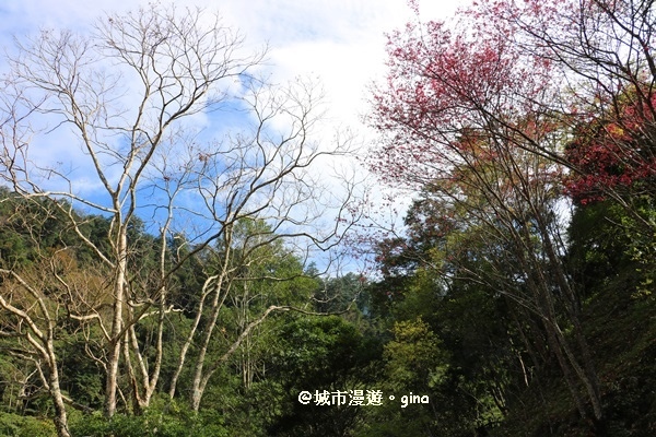 IMG_7479.JPG IMG_7479.JPG