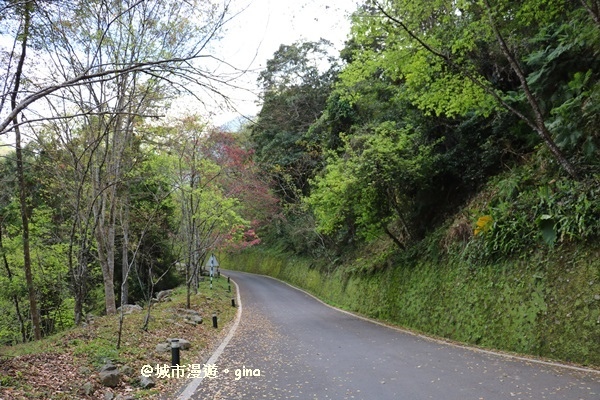 IMG_7491.JPG IMG_7491.JPG