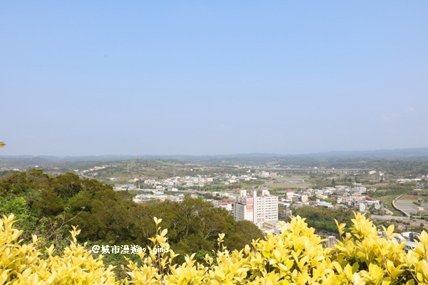 IMG_9003.JPG IMG_9003.JPG