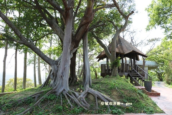 IMG_9037.JPG IMG_9037.JPG