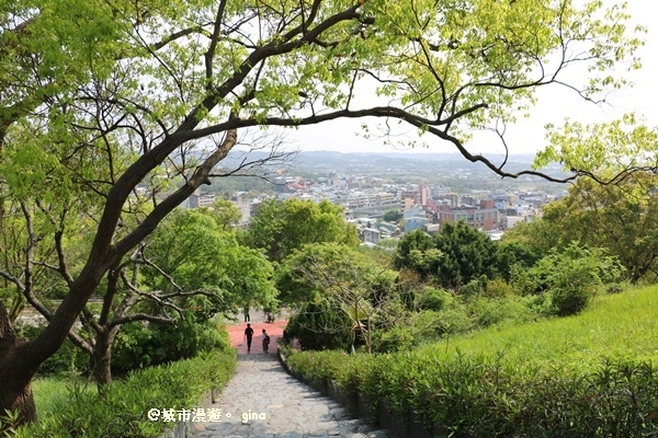 IMG_9035.JPG IMG_9035.JPG