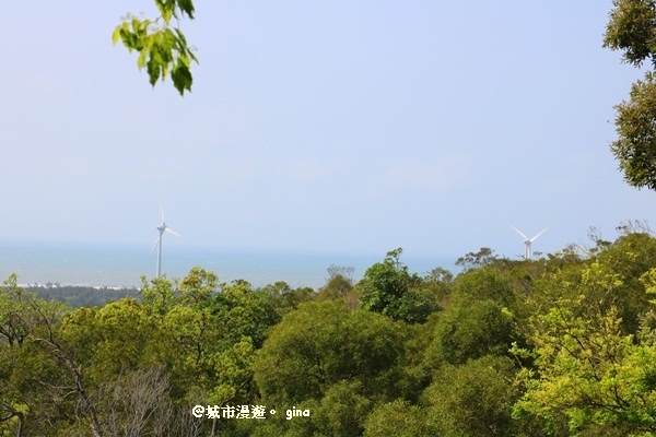 IMG_9040.JPG IMG_9040.JPG