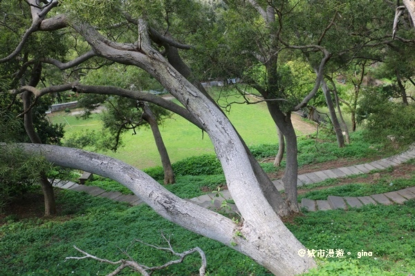 IMG_9043.JPG IMG_9043.JPG