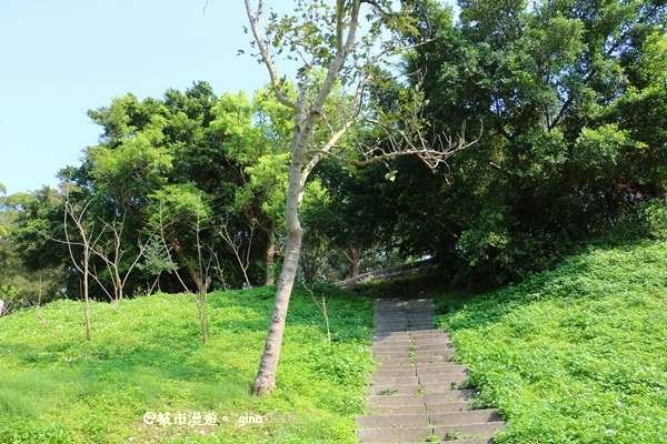 IMG_9077.JPG IMG_9077.JPG