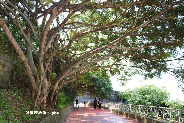 IMG_9078.JPG IMG_9078.JPG