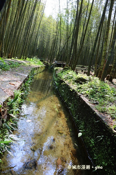 IMG_8502.JPG IMG_8502.JPG