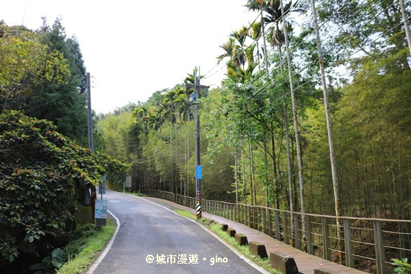 IMG_8560.JPG IMG_8560.JPG