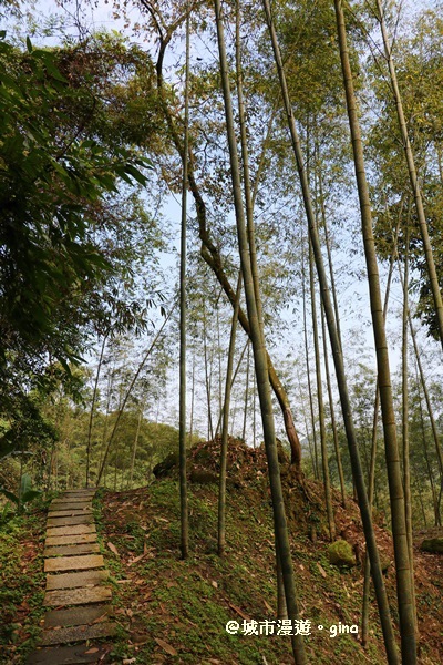 IMG_8565.JPG IMG_8565.JPG